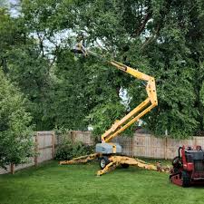 Best Leaf Removal  in Swartzville, PA