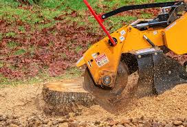 Best Hazardous Tree Removal  in Swartzville, PA